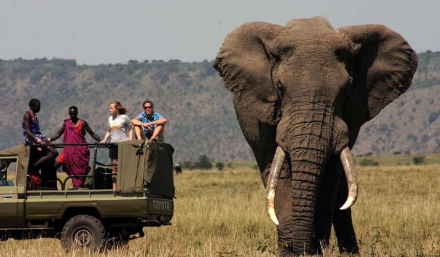 1/2 Day Hluhluwe Imfolozi Big 5 Tour from Richards Bay - Key things worth knowing before you go