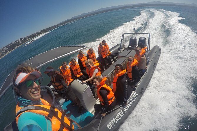 1.5-Hour Seal Viewing Boat Tour in Plettenberg Bay - Photos Included by Email: A Nice Bonus That Actually Helps