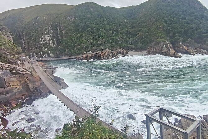 1 Day Garden Route Tour from Port Elizabeth to the Crags - Who should book this one-day Garden Route trip
