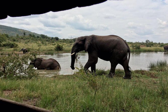 1 Day Safari from Johannesburg - The Morning Start: Johannesburg Pickup and the 2-Hour Drive