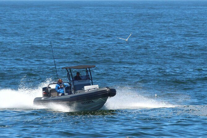 1 Day Whale Watching at Yzerfontein - Meganova RIB: the real reason this Yzerfontein trip feels special