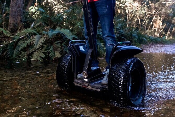 1 Hour Segway Experience - Cruising Storms River Village: easy touring with real atmosphere