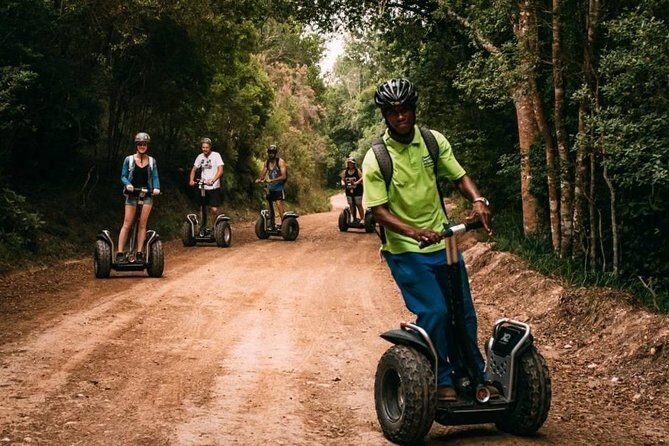 1 Hour Segway Experience - The Tsitsikamma Big Tree stop: a must-see pause