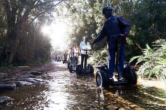 1 Hour Segway Experience - Pine forest and indigenous routes: the part you’ll remember