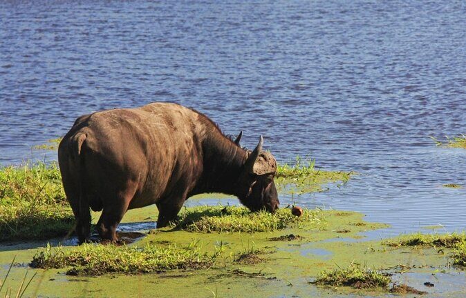 10-Day Private Tour Johannesburg to Cape Town - Key highlights I’d put on your radar