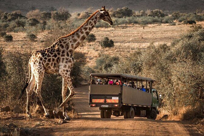 10-Day Private Tour Johannesburg to Cape Town - A route that feels like South Africa’s greatest hits