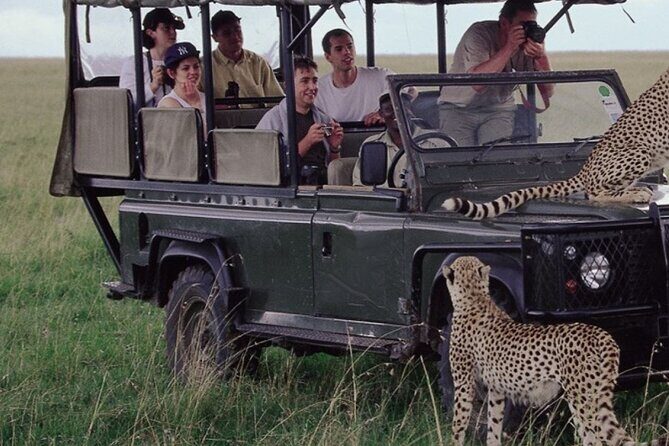 10-Day Private Tour Johannesburg to Cape Town - Day 1: Vilakazi Street in Soweto, then straight into Kruger
