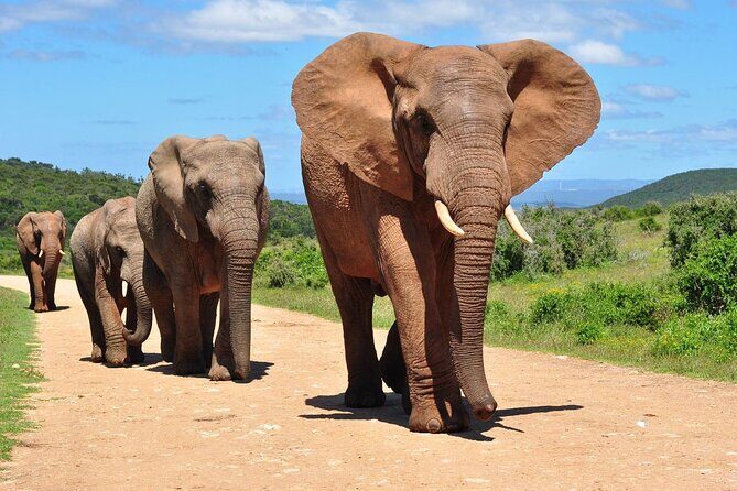 10-Day Private Tour Johannesburg to Cape Town - Port Shepstone beaches and Eastern Cape Xhosa village time