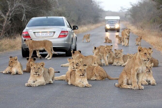 10-Day Private Tour Johannesburg to Cape Town - Private tour setup: only your group, plus pickup