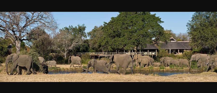 10 Day South Africa Tour Joburg to Cape Town - Wild Coast + Qunu and the Mandela Museum