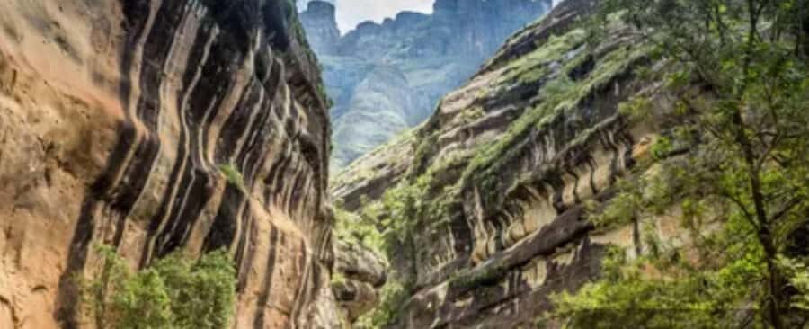 10 Day South Africa Tour Joburg to Cape Town - Knysna to Hermanus: Sunset Cruising, Then Whales in Season
