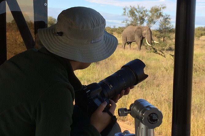 10 Day Wildlife Photographic Safari - Kruger National Park - B1 Photo Safaris - Game Drives in Kruger: Spotting, Settings, and Better Luck