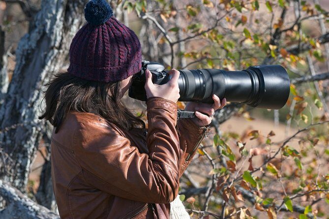10 Day Wildlife Photographic Safari - Kruger National Park - B1 Photo Safaris - Price and Value: What $4,320.61 Covers (and What It Doesn’t)