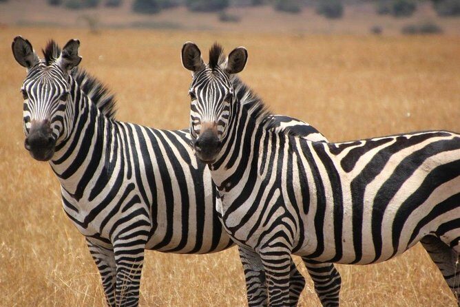 13 Day Safari - Cape Town to Johannesburg - Port Alfred to East London: beaches on the Wild Coast route