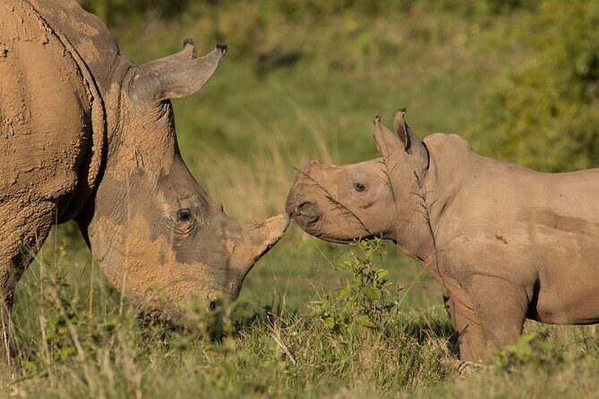15-Day All Inclusive Sibuya Wilderness Guided Tour - What All Inclusive Really Covers Here (Meals, Transport, Parks, and Equipment)