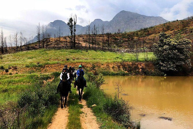 1h – Horse Trail - Where You Ride: Vrede en Lust Wine Estate and the Simonsberg Foothills