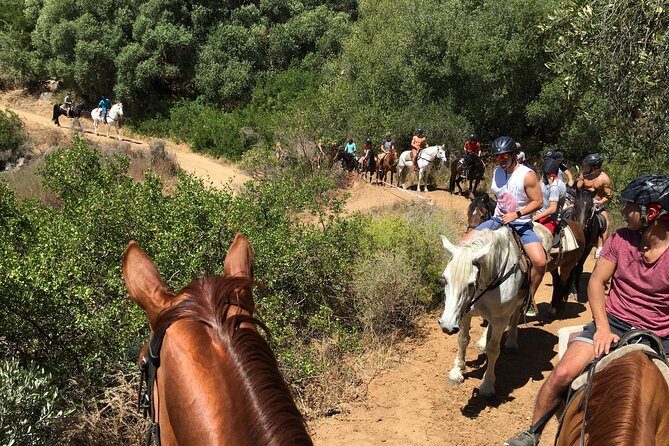 1h – Horse Trail - Horses, Helmets, and Saddle Styles on Request