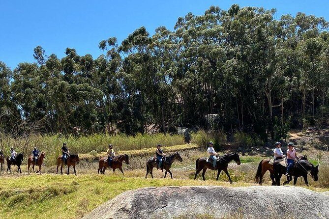1h – Horse Trail - Who This Horse Trail Suits (and Who Should Skip It)