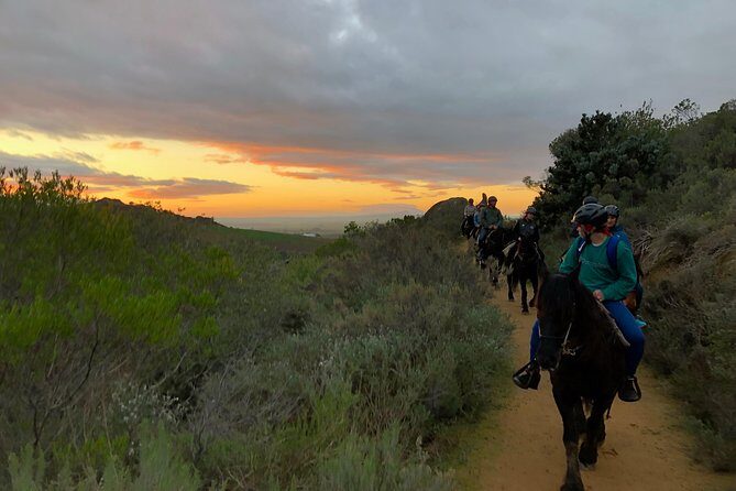1h – Horse Trail - Practical Tips to Get the Most from Your Ride