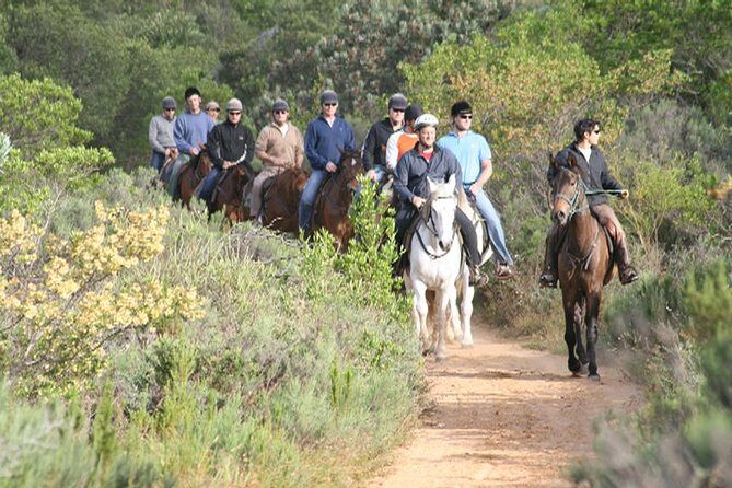 1h30m – Horse Trail - Key things that make this ride worth it