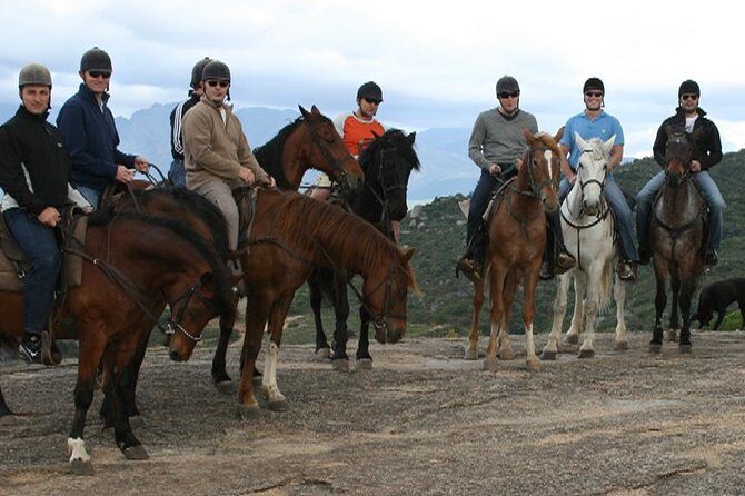 1h30m – Horse Trail - Pace and terrain: how the ride feels for beginners and advanced riders