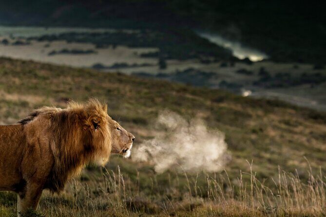 2 Day Addo Elephant Park Safari - Key things that make this safari worth your time