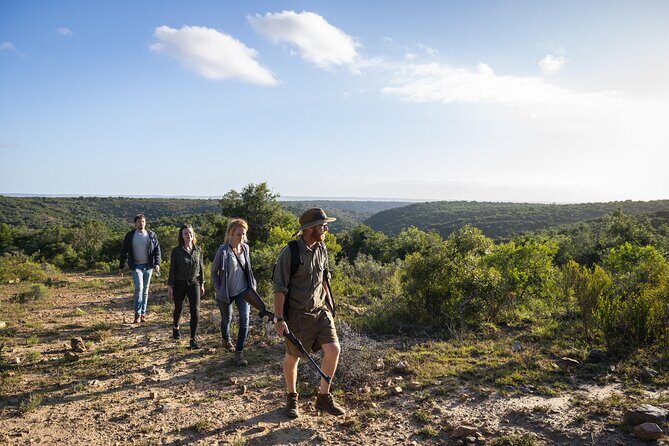 2 Day Addo Elephant Park Safari - Why two days in Addo feels smarter than squeezing it in