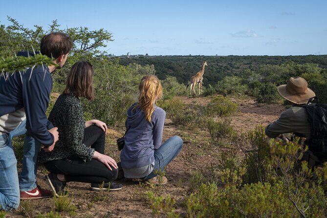 2 Day Addo Elephant Park Safari - Day 2 at the Sundays River Mouth: cruise plus dunes and marine views