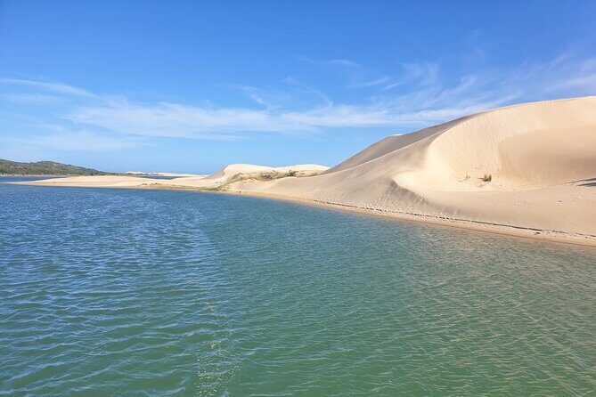 2 Day Addo Elephant Park Safari - Price and value: what $467.25 buys you in the real world