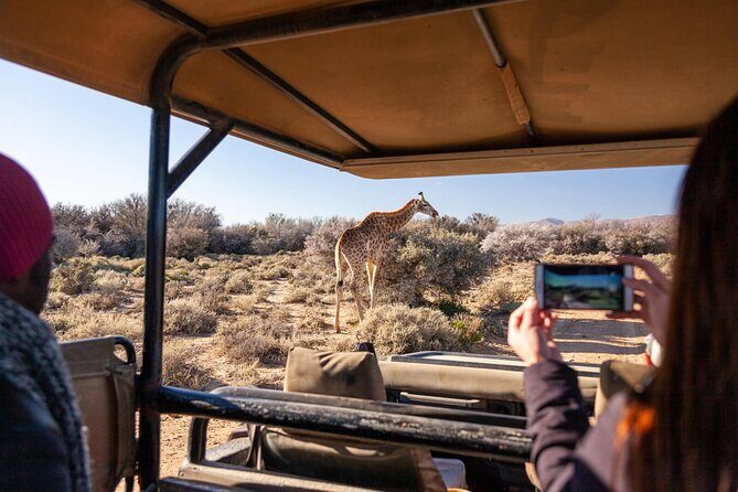 2 Day Inverdoorn Luxury Safari - The Road From Cape Town to Inverdoorn: Ceres Fruit Valley Views