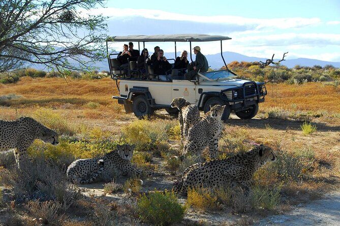 2 Day Inverdoorn Luxury Safari - Check-In and Garden Time at Inverdoorn’s Safari Lodge