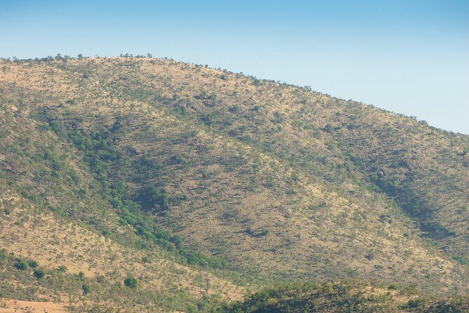 2 Day Pilanesberg Camping Safari - The 5:30 AM pickup and the drive that sets your expectations