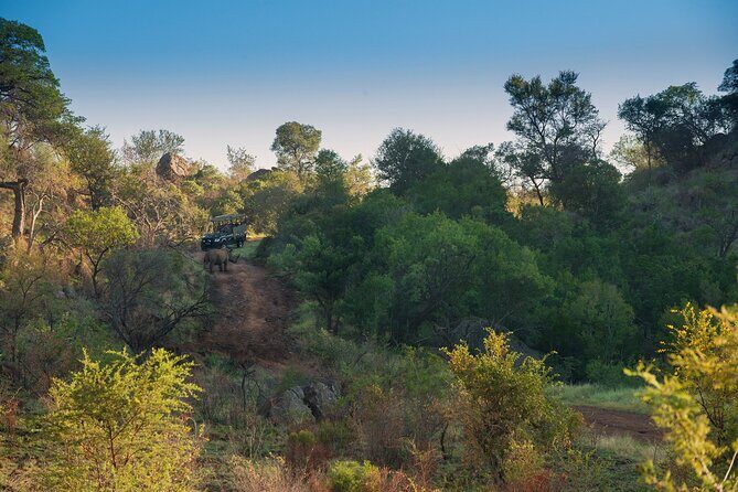 2 Day Pilanesberg Camping Safari - Meals and camp time: included food, plus a real reset