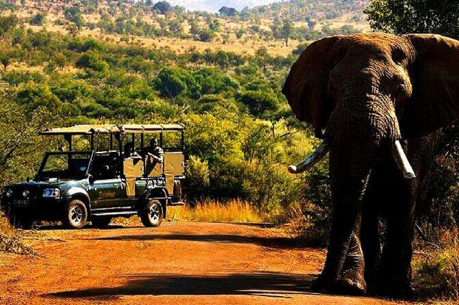 2 Day Pilanesberg national park Guided Tour - Key points worth marking on your map