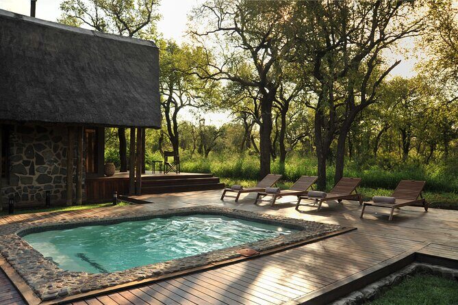 2 Day Pilanesberg ultimate Luxury Safari - Day 2 Breakdown: Sunrise Drive, Breakfast, Then a Minivan Safari Finale