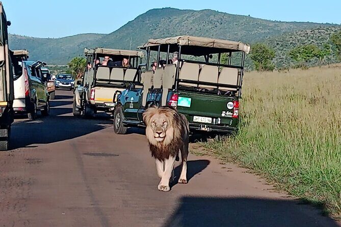 2 Day Pilanesberg ultimate Luxury Safari - Price and Value: What You’re Actually Paying For at $507.63