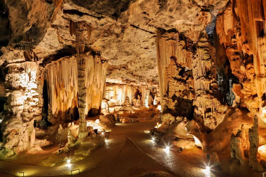2 Day Small Group Cape Town: Garden Route Big 5 Safari Tour - Buffelsdrift afternoon safari: best use of a limited time window