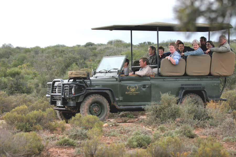 2 Day Small Group Cape Town: Garden Route Big 5 Safari Tour - Chandelier giraffe encounter and ostrich tour: close-up time you can plan for