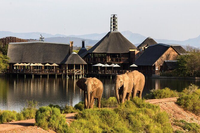 2 Day Small Group Garden Route Big 5 Safari Tour from Cape Town - Why This 2-Day Garden Route Big 5 Combo Feels Worth It