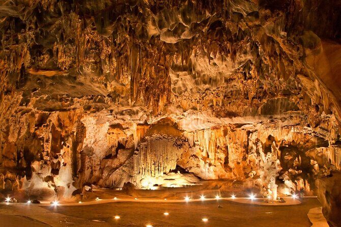 2 Day Small Group Garden Route Big 5 Safari Tour from Cape Town - Botlierskop Private Game Reserve: The Big 5 Safari Game Drive Payoff
