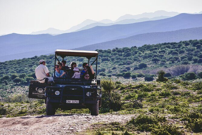 2 Day Small Group Garden Route Big 5 Safari Tour from Cape Town - Cape Town Pickup to the Oudtshoorn Run: Morning Logistics That Matter