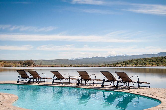 2 Day Wild Heart Western Cape Safari Tour with Private Transfers - Why this two-day safari works better than it sounds