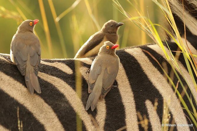 2-Days Pilanesberg best chance to view "Big 5" with private extended safari - Getting There From Pretoria: Dam Views and Optional Stop-Offs