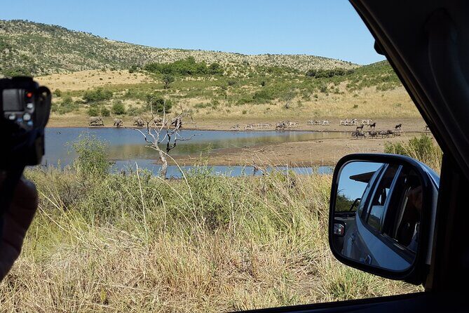 2-Days Pilanesberg best chance to view "Big 5" with private extended safari - Day 2 Dawn Drive in an Open Vehicle: Prime Time and Wind Reality