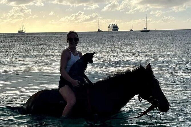 2 Hour Horseback Riding Sunset Tour with Dore's Riding Stable - Swimming With Horses at Sunset: The Moment People Remember