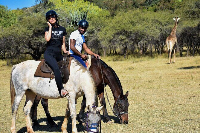 2-Hour Horseback Safari in Hartbeespoort - Key highlights you’ll care about