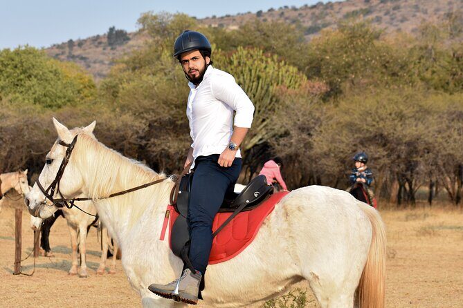 2-Hour Horseback Safari in Hartbeespoort - Wildlife checklist: who you might spot near you