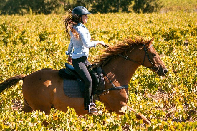 2 Hour Vineyard Trail Ride - Quick take: what makes this ride click