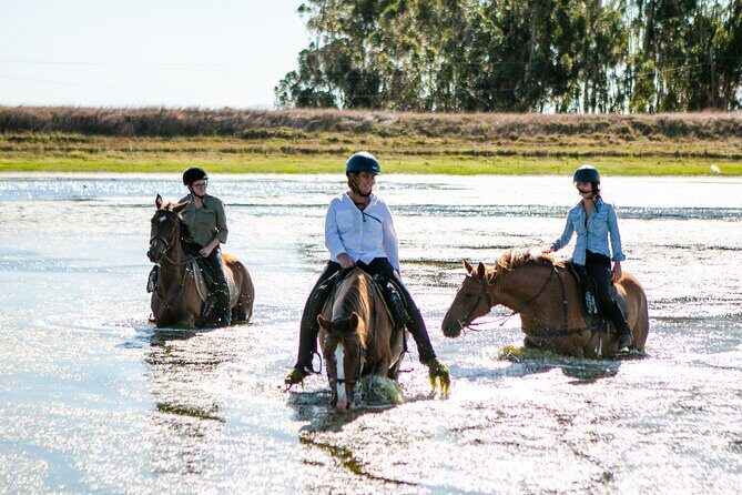 2 Hour Vineyard Trail Ride - Ubuntu Horse Trails at Vredenheim: why this beats a walking tour