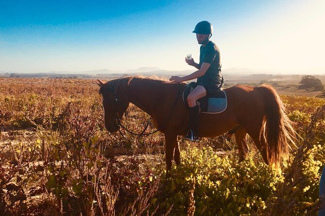 2 Hour Vineyard Trail Ride - Stop 2: Vredenheim winery time—gardens, tasting, lunch, and more